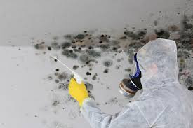 Best Forensic Mold Investigation  in Mcconnellsburg, PA